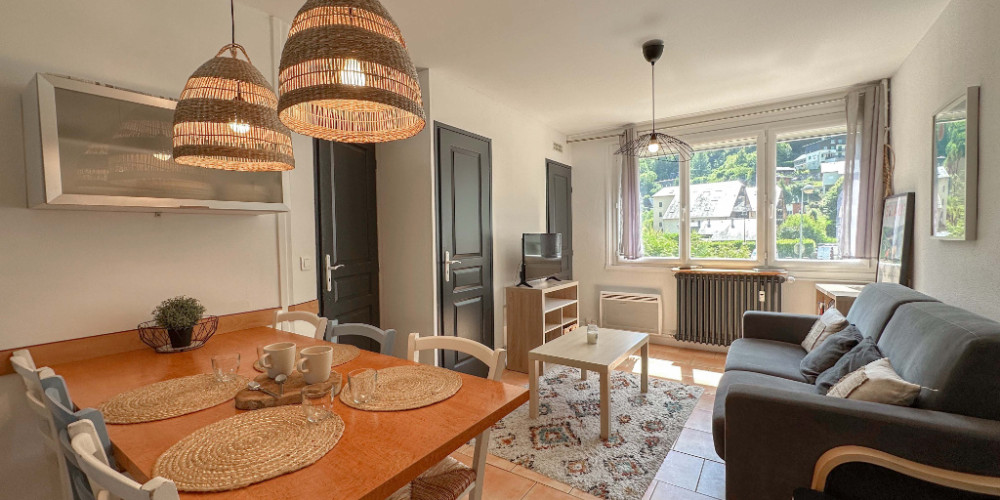 appartement à ST LARY SOULAN (65170)